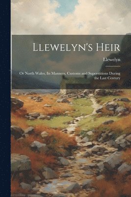 bokomslag Llewelyn's Heir