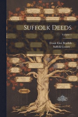 bokomslag Suffolk Deeds; Volume 1