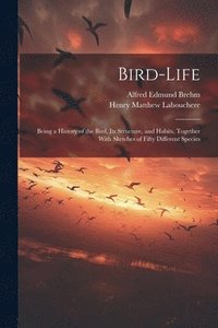 bokomslag Bird-Life