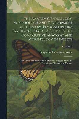 bokomslag The Anatomy, Physiology, Morphology and Development of the Blow- fly (Calliphora Erythrocephala), A Study in the Comparative Anatomy and Morphology of Insects; With Plates and Illustrations Executed