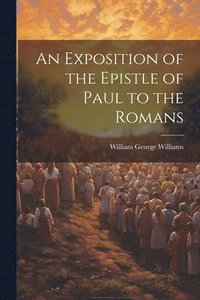 bokomslag Exposition of the Epistle of Paul to the Romans