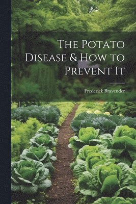 bokomslag The Potato Disease & How to Prevent It