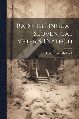 bokomslag Radices Linguae Slovenicae Veteris Dialecti