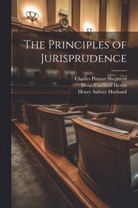 bokomslag The Principles of Jurisprudence