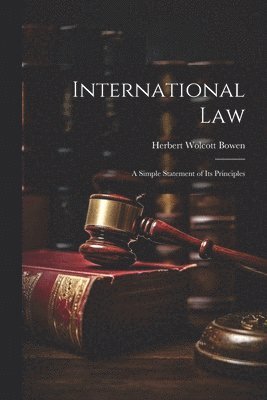 bokomslag International Law