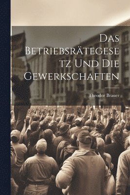 bokomslag Das Betriebsrtegesetz Und Die Gewerkschaften