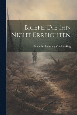 Elisabeth Flemming Von Heyking - Briefe, Die Ihn Nicht Erreichten, Häftad