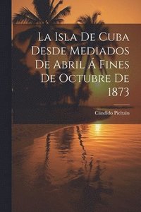 bokomslag Isla De Cuba Desde Mediados De Abril Á Fines De Octubre De 1873