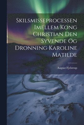 bokomslag Skilsmisseprocessen Imellem Kong Christian Den Syvende Og Dronning Karoline Matilde