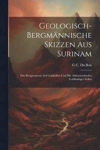 bokomslag Geologisch-Bergmnnische Skizzen Aus Surinam