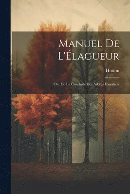 bokomslag Manuel De L'lagueur