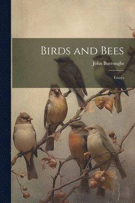 Birds and Bees 1