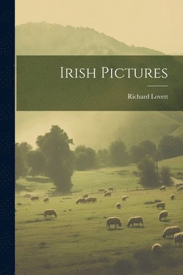 bokomslag Irish Pictures