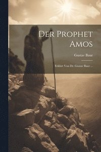 bokomslag Der Prophet Amos