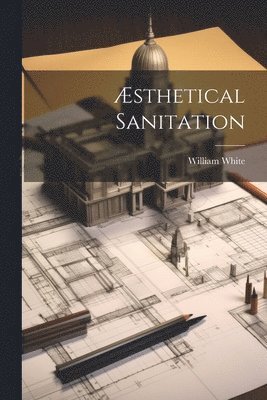 bokomslag Æsthetical Sanitation