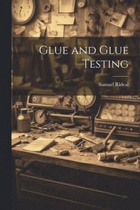 bokomslag Glue and Glue Testing