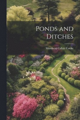 Ponds and Ditches 1