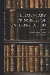 bokomslag Elementary Principles of Interpretation