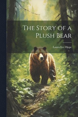 The Story of a Plush Bear 1