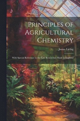 bokomslag Principles of Agricultural Chemistry