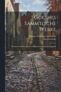 bokomslag Goethes Smmtliche Werke