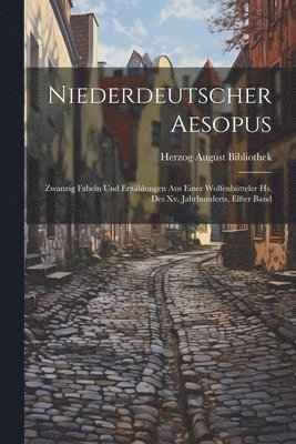 bokomslag Niederdeutscher Aesopus