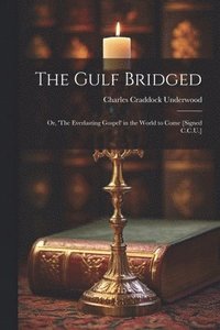 bokomslag The Gulf Bridged