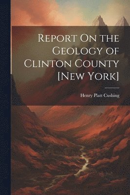Henry Platt Cushing - Report On the Geology of Clinton County [New York], Häftad