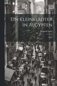 bokomslag Ein Kleinstdter in Aegypten