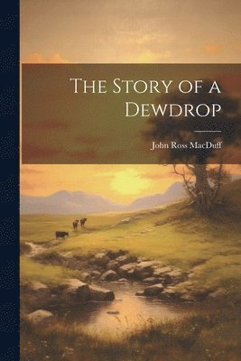 bokomslag Story of a Dewdrop