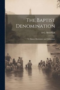 bokomslag The Baptist Denomination