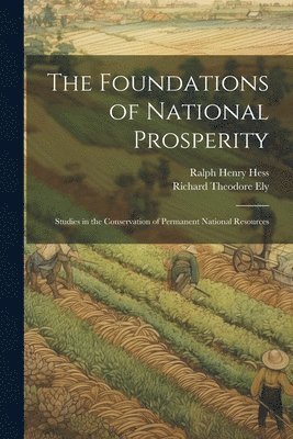 The Foundations of National Prosperity 1