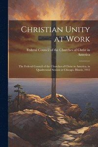 bokomslag Christian Unity at Work