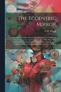 bokomslag The Eccentric Mirror