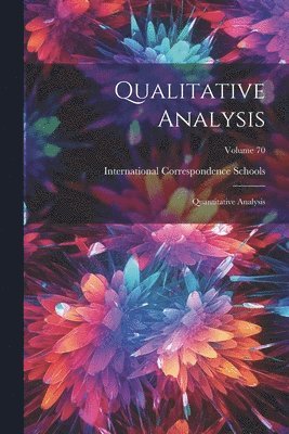 bokomslag Qualitative Analysis