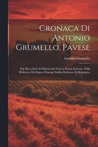 bokomslag Cronaca Di Antonio Grumello, Pavese