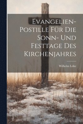Evangelien-Postille Fr Die Sonn- Und Festtage Des Kirchenjahres 1