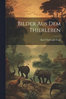 bokomslag Bilder Aus Dem Thierleben