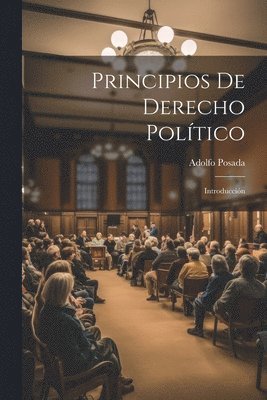 bokomslag Principios De Derecho Poltico