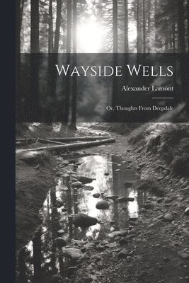 bokomslag Wayside Wells; Or, Thoughts From Deepdale