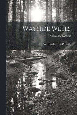 Alexander Lamont - Wayside Wells; Or, Thoughts From Deepdale, Häftad