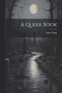 bokomslag A Queer Book