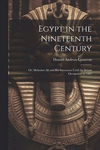 bokomslag Egypt in the Nineteenth Century