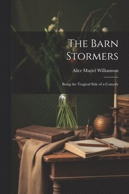 bokomslag The Barn Stormers