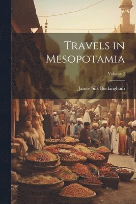 bokomslag Travels in Mesopotamia; Volume 2