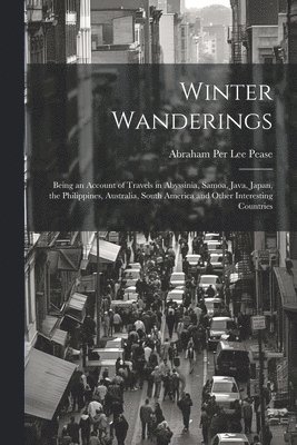 bokomslag Winter Wanderings