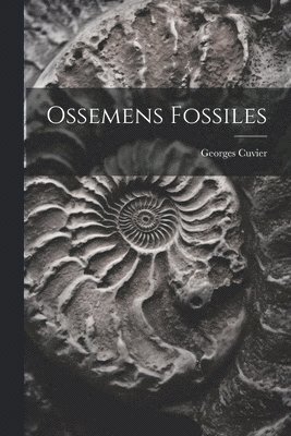 Ossemens Fossiles