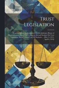 bokomslag Trust Legislation