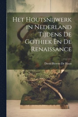 bokomslag Het Houtsnijwerk in Nederland Tijdens De Gothiek En De Renaissance