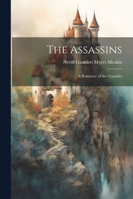 bokomslag Assassins